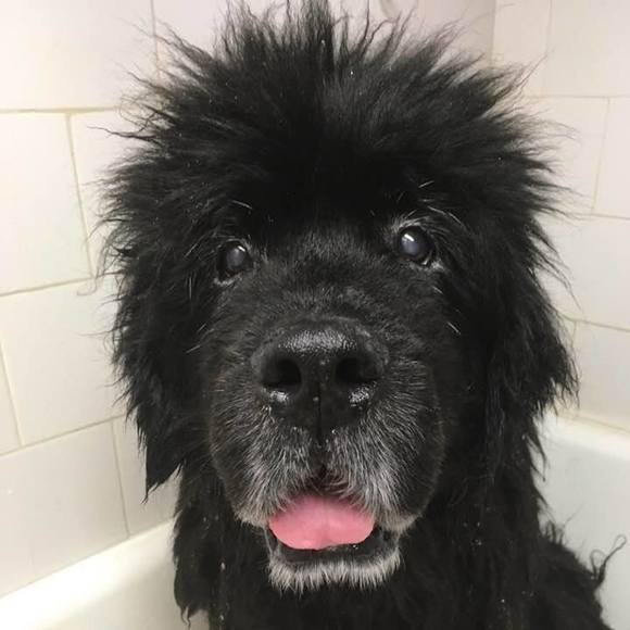 Meet your Posher, Kikuko - Picture 1 of 1